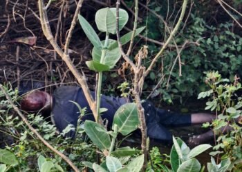 खुद आमदाररांच्या गावात अवैद्य धंधायला उदान…