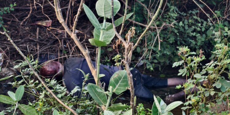 खुद आमदाररांच्या गावात अवैद्य धंधायला उदान…